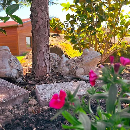 Lahnsteiner Hoehe Holiday home